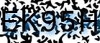 grafischer Sicherheitscode