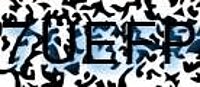 grafischer Sicherheitscode