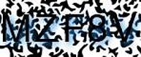 grafischer Sicherheitscode