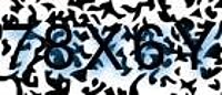 grafischer Sicherheitscode
