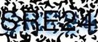 grafischer Sicherheitscode