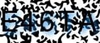 grafischer Sicherheitscode
